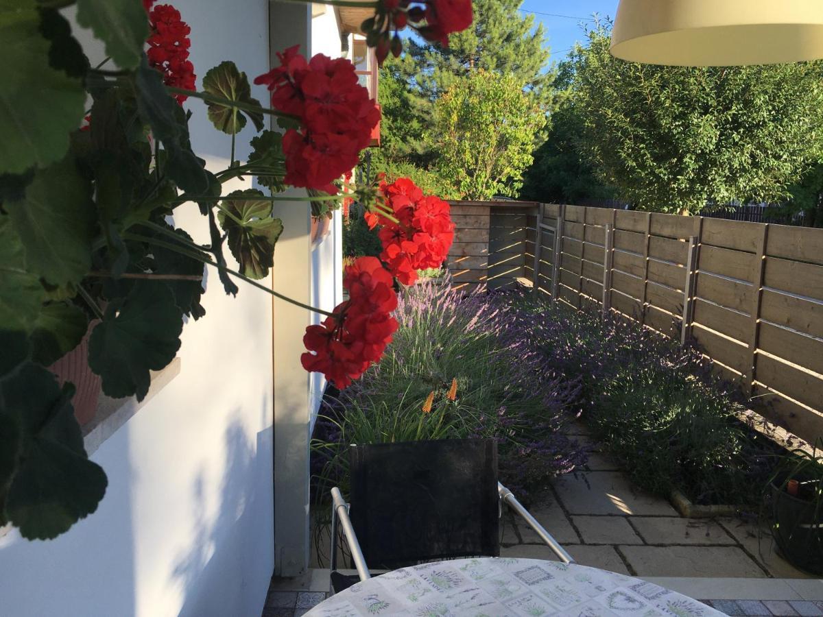 Szelrozsa Apartmanhaz Velence Exterior photo